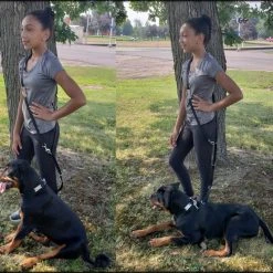 Hands Free 7' Leash W/ Chrome Service Dog ID Tag -Puppy`s Store 407019 3 full 55948.1638911529