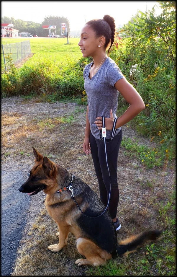 Reflective Service Dog 5' Leash W/Chrome Service Dog ID Tag 2 Reflective Service Dog 5' Leash W/Chrome Service Dog ID Tag - Image 2