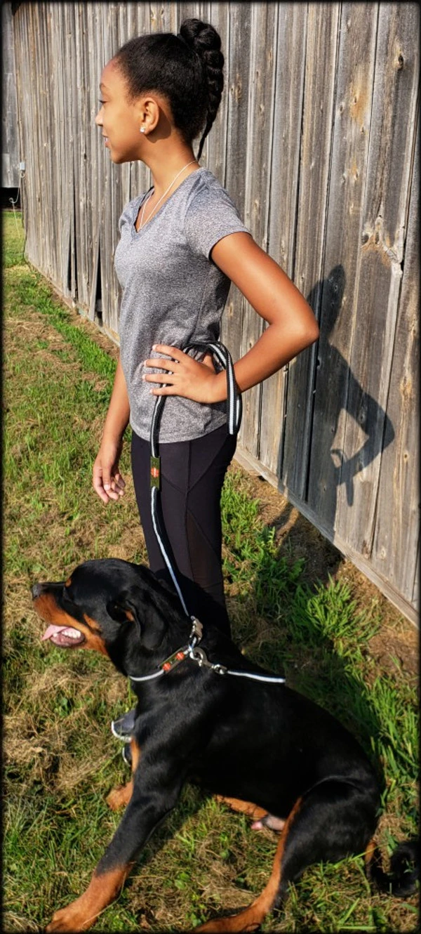 Reflective Service Dog 5' Leash W/Chrome Service Dog ID Tag 5 Reflective Service Dog 5' Leash W/Chrome Service Dog ID Tag - Image 5