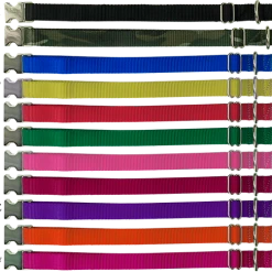 Nylon Dog Collars - 1" -Puppy`s Store 407028T full 67890.1638911381