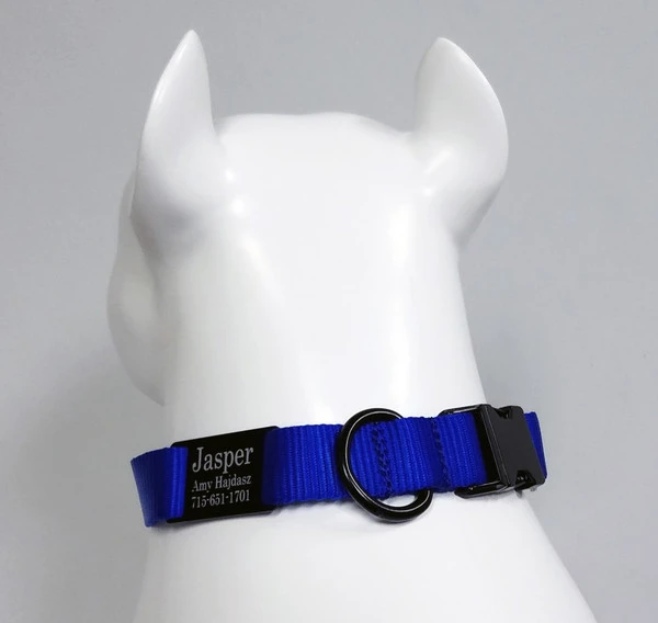 Personalized ID Nylon Dog Collar - 1" 10 Personalized ID Nylon Dog Collar - 1" - Image 10