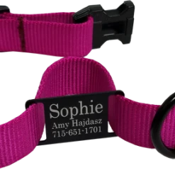 Personalized ID Nylon Dog Collar - 1" 23 Personalized ID Nylon Dog Collar - 1" -Puppy`s Store 407035 11 full 23912.1647863650