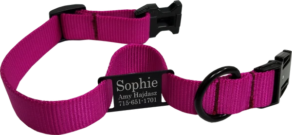Personalized ID Nylon Dog Collar - 1" 11 Personalized ID Nylon Dog Collar - 1" - Image 11