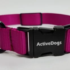 Personalized ID Nylon Dog Collar - 1" 16 Personalized ID Nylon Dog Collar - 1" -Puppy`s Store 407035 1 full 84538.1647863650