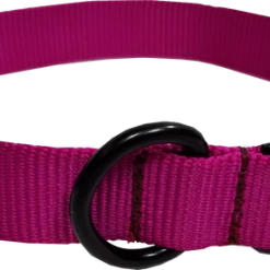 Personalized ID Nylon Dog Collar - 1" 15 Personalized ID Nylon Dog Collar - 1" -Puppy`s Store 407035 6 full 90144.1647863650