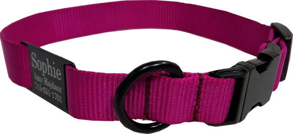 Personalized ID Nylon Dog Collar - 1" 3 Personalized ID Nylon Dog Collar - 1" - Image 3