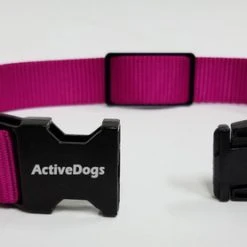 Personalized ID Nylon Dog Collar - 1" 19 Personalized ID Nylon Dog Collar - 1" -Puppy`s Store 407035 7 full 65042.1647863650