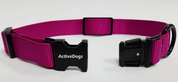 Personalized ID Nylon Dog Collar - 1" 7 Personalized ID Nylon Dog Collar - 1" - Image 7