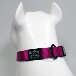 Personalized ID Nylon Dog Collar - 1" 21 Personalized ID Nylon Dog Collar - 1" -Puppy`s Store 407035 9 full 32047.1647863650