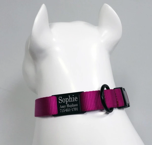 Personalized ID Nylon Dog Collar - 1" 9 Personalized ID Nylon Dog Collar - 1" - Image 9