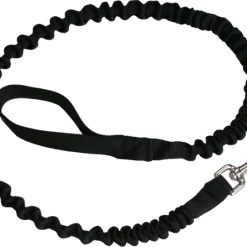 Bungee Leash