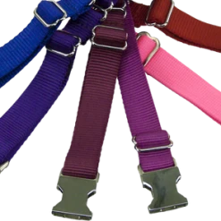 Nylon No-Slip Dog Collar - 1" Martingale 10 Nylon No-Slip Dog Collar - 1" Martingale -Puppy`s Store 407060 11 full 95671.1638911390