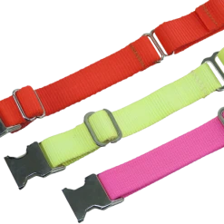 Nylon No-Slip Dog Collar - 1" Martingale 12 Nylon No-Slip Dog Collar - 1" Martingale -Puppy`s Store 407060 12 full 24378.1638911396