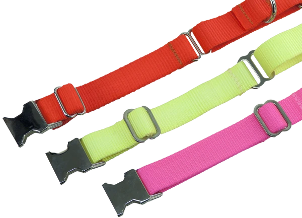 Nylon No-Slip Dog Collar - 1" Martingale 5 Nylon No-Slip Dog Collar - 1" Martingale - Image 5