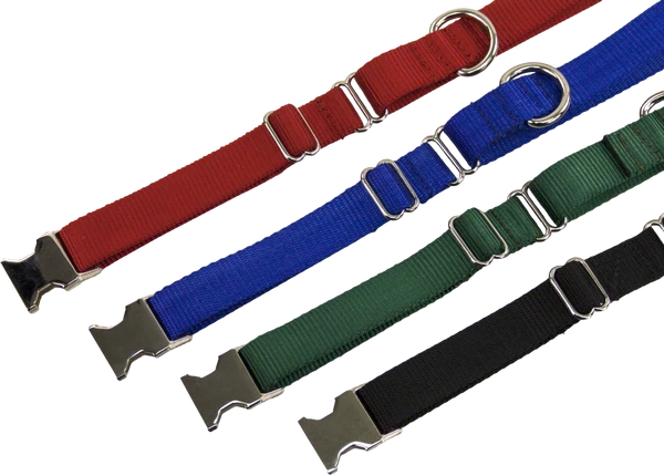 Nylon No-Slip Dog Collar - 1" Martingale 6 Nylon No-Slip Dog Collar - 1" Martingale - Image 6