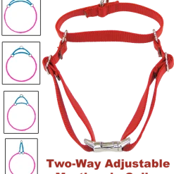 Nylon No-Slip Dog Collar - 1" Martingale 15 Nylon No-Slip Dog Collar - 1" Martingale -Puppy`s Store 407060 15 full 65791.1638911407