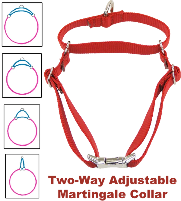 Nylon No-Slip Dog Collar - 1" Martingale 8 Nylon No-Slip Dog Collar - 1" Martingale - Image 8