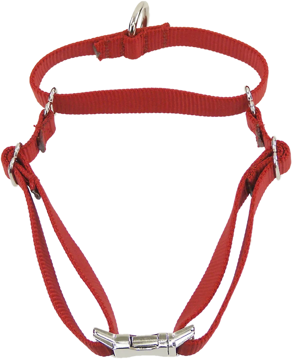 Nylon No-Slip Dog Collar - 1" Martingale 2 Nylon No-Slip Dog Collar - 1" Martingale - Image 2