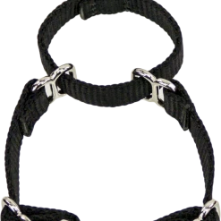 2 Way Adjustable Martingale Dog Collar - 5/8" - Nylon 10 2 Way Adjustable Martingale Dog Collar - 5/8" - Nylon -Puppy`s Store 407062 5 full 40079.1638911341