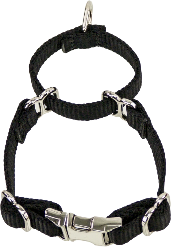 2 Way Adjustable Martingale Dog Collar - 5/8" - Nylon 4 2 Way Adjustable Martingale Dog Collar - 5/8" - Nylon - Image 4