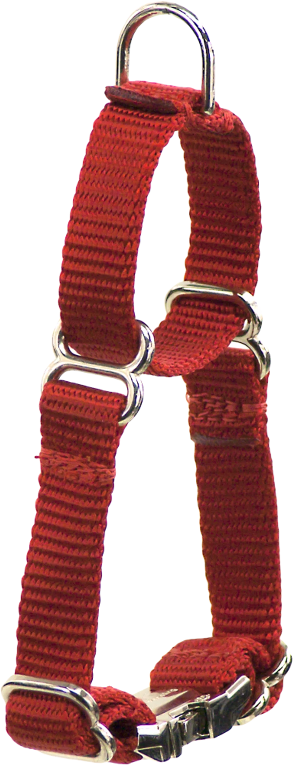 2 Way Adjustable Martingale Dog Collar - 5/8" - Nylon 3 2 Way Adjustable Martingale Dog Collar - 5/8" - Nylon - Image 3