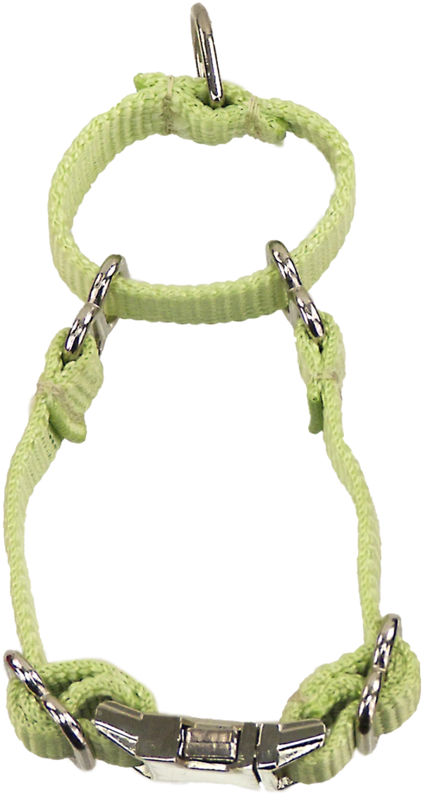 2 Way Adjustable Martingale Dog Collar - 5/8" - Nylon 5 2 Way Adjustable Martingale Dog Collar - 5/8" - Nylon - Image 5