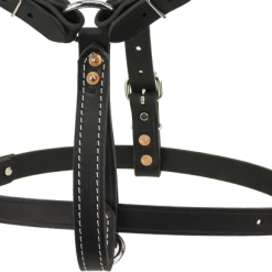 Padded Leather Harness W/ Sheepskin Lining -Puppy`s Store 407080 8 full 48432.1638911339