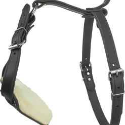 Padded Leather Harness W/ Sheepskin Lining -Puppy`s Store 407080a full 56073.1638911353