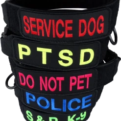 Custom ID Patch Dog Collar