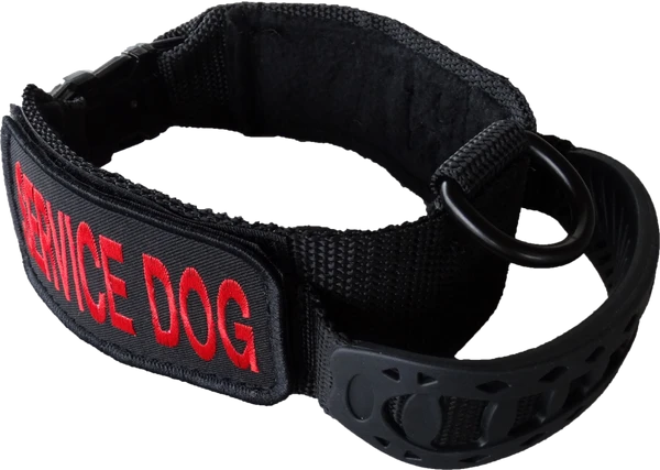 Custom ID Patch Dog Collar With Handle 11 Custom ID Patch Dog Collar With Handle - Image 11