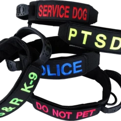Custom ID Patch Dog Collar With Handle 25 Custom ID Patch Dog Collar With Handle -Puppy`s Store 407082 2 full 14545.1651489827