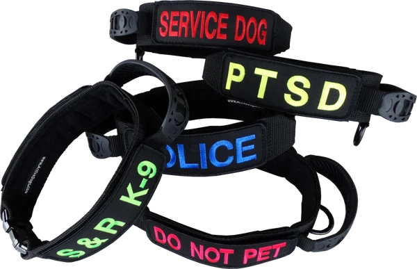 Custom ID Patch Dog Collar With Handle 3 Custom ID Patch Dog Collar With Handle - Image 3