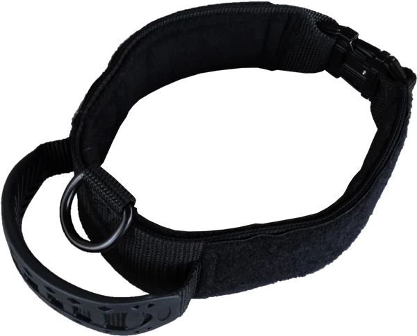 Custom ID Patch Dog Collar With Handle 6 Custom ID Patch Dog Collar With Handle - Image 6