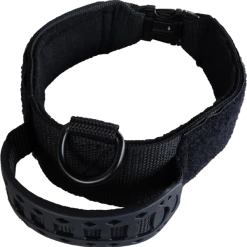 Custom ID Patch Dog Collar With Handle 29 Custom ID Patch Dog Collar With Handle -Puppy`s Store 407082 6 full 46701.1651489827