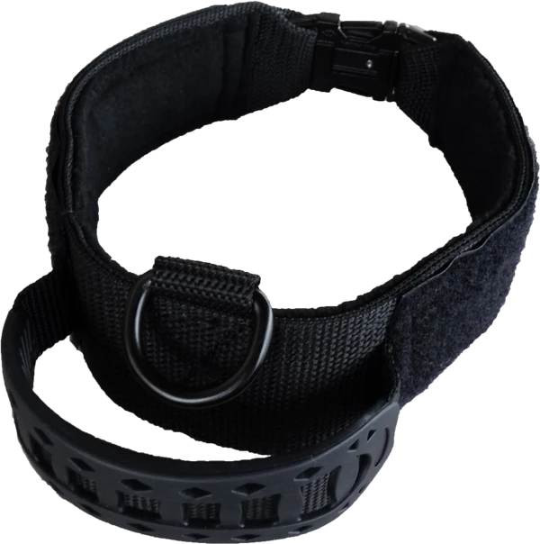 Custom ID Patch Dog Collar With Handle 7 Custom ID Patch Dog Collar With Handle - Image 7