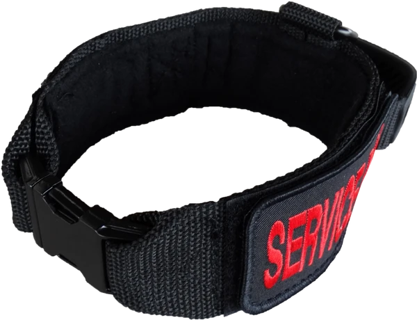 Custom ID Patch Dog Collar With Handle 9 Custom ID Patch Dog Collar With Handle - Image 9