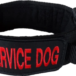 Custom ID Patch Dog Collar With Handle 32 Custom ID Patch Dog Collar With Handle -Puppy`s Store 407082 9 full 85777.1651489827