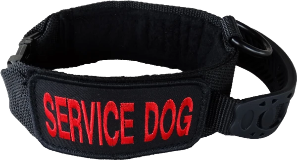 Custom ID Patch Dog Collar With Handle 10 Custom ID Patch Dog Collar With Handle - Image 10