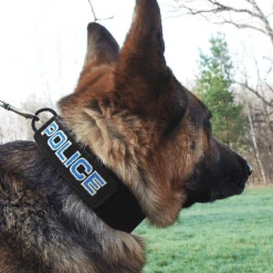 Embroidered Patch Dog Collar -Puppy`s Store 407083 2 full 64874.1638911398