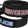 Embroidered Patch Dog Collar