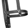 Leather H-Harness