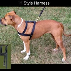 Leather H-Harness -Puppy`s Store 407087 3 83499.1638911359
