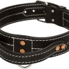 Leather Dog Collar With Handle 2"