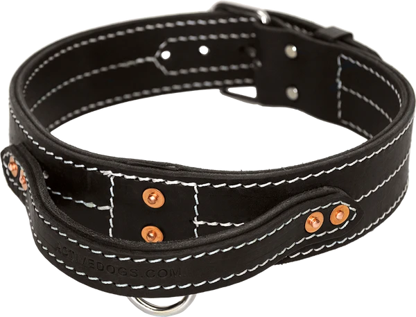 Leather Dog Collar With Handle 2" 1 Leather Dog Collar With Handle 2"