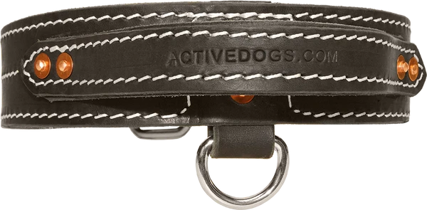 Leather Dog Collar With Handle 2" 2 Leather Dog Collar With Handle 2" - Image 2