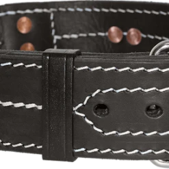 Leather Dog Collar With Handle 2" 8 Leather Dog Collar With Handle 2" -Puppy`s Store 407088 3 full 71356.1664386296