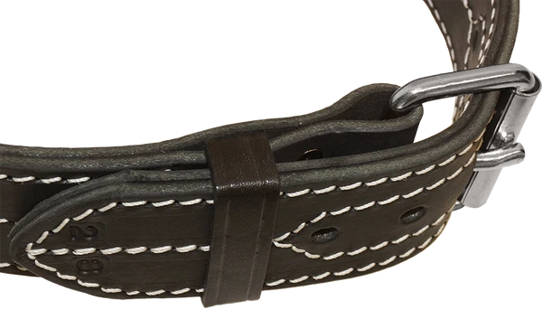 Leather Dog Collar With Handle 2" 4 Leather Dog Collar With Handle 2" - Image 4