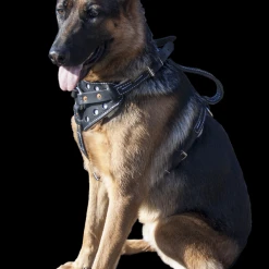 Reflective Sheepskin-Lined Leather Dog Harness -Puppy`s Store 40708REF 10 full 20635.1638911421