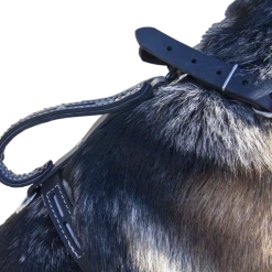 Reflective Sheepskin-Lined Leather Dog Harness -Puppy`s Store 40708REF 11 full 67472.1638911424