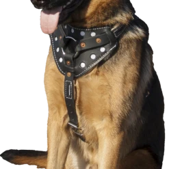 Reflective Sheepskin-Lined Leather Dog Harness -Puppy`s Store 40708REF 8 full 68592.1638911413